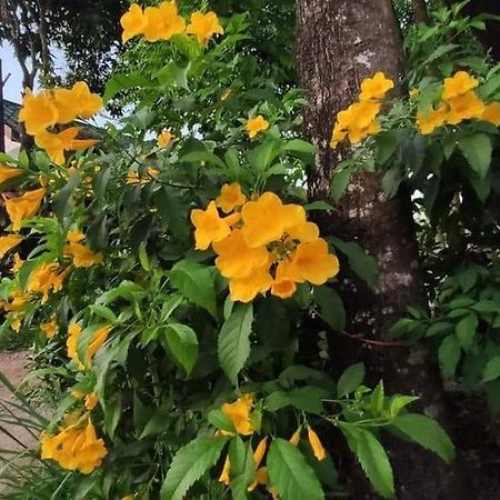 Montra Guesthouse Ranong Esterno foto